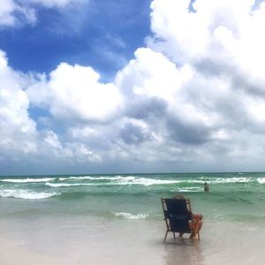 Meet your Posher, Shelley